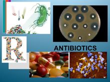 《自然療法與你》- EP366 - 抗生素如何摧毀你的免疫系統