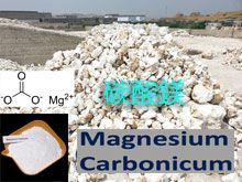 《靈丹妙藥的同類療法》- EP164 - 碳酸鎂Magnesia Carbonica