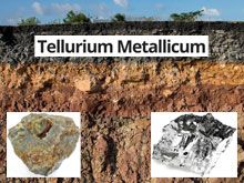 《靈丹妙藥的同類療法》- EP79 - 碲 Tellurium Metallicum