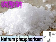 《靈丹妙藥的同類療法》- EP219 - 磷酸鈉 Natrum Phosphoricum