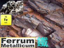 《靈丹妙藥的同類療法》- EP163 - 鐵 Ferrum Metallicum
