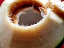 《生食食出新生》- EP170 - 食生食材大推薦：椰子治病奇蹟故事（椰子之5）