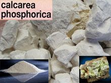 《靈丹妙藥的同類療法》- EP46 - 磷酸鈣 Calcarea Phosphorica