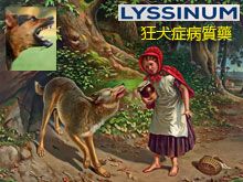 《靈丹妙藥的同類療法》- EP212 - 狂犬症病質藥 Lyssinum