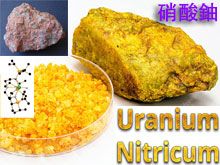 《靈丹妙藥的同類療法》- EP194 - 硝酸鈾 Uranium Nitricum