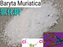 《靈丹妙藥的同類療法》- EP220 - 氯化鋇 Baryta Muriatica
