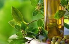 《自然療法與你》-EP156-醫食同源篇:橄欖油