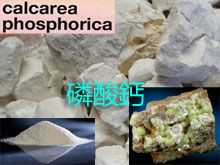 《靈丹妙藥的同類療法》- EP162 - 磷酸鈣 Calcarea Phosphorica