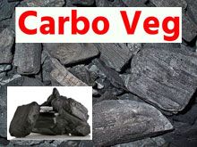 《靈丹妙藥的同類療法》- EP48 - 木炭 Carob Vegetabilis
