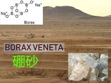 《靈丹妙藥的同類療法》- EP105 - 硼砂 Borax Veneta